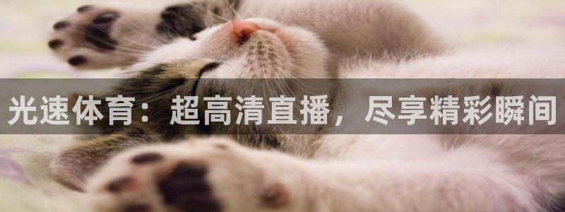 光速体育：超高清直播，尽享精彩瞬间