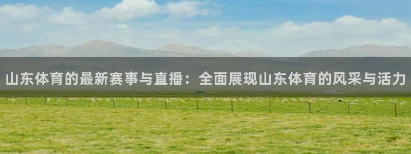 山东体育的最新赛事与直播：全面展现山东体育的风采与活力