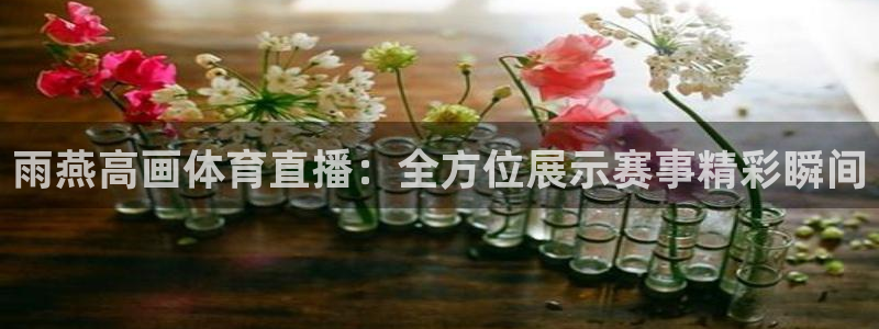 雨燕高画体育直播：全方位展示赛事精彩瞬间