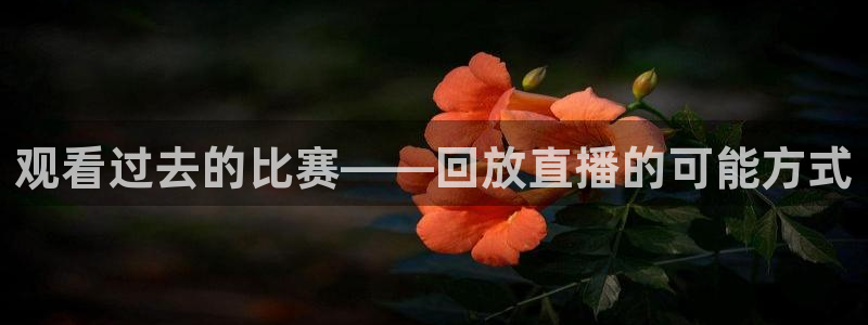 观看过去的比赛——回放直播的可能方式