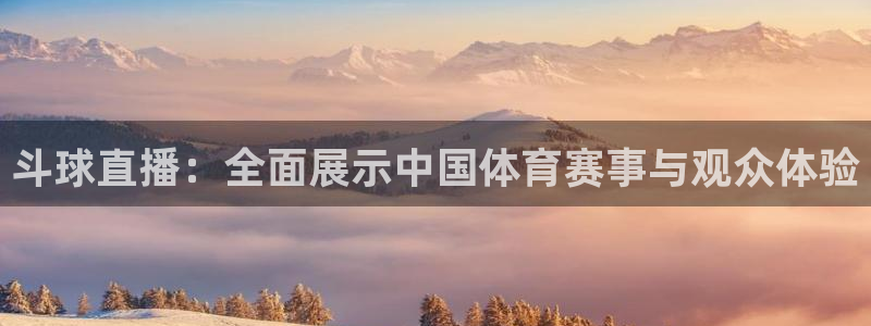斗球直播：全面展示中国体育赛事与观众体验