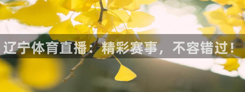 辽宁体育直播：精彩赛事，不容错过！