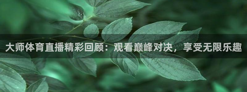 大师体育直播精彩回顾：观看巅峰对决，享受无限乐趣