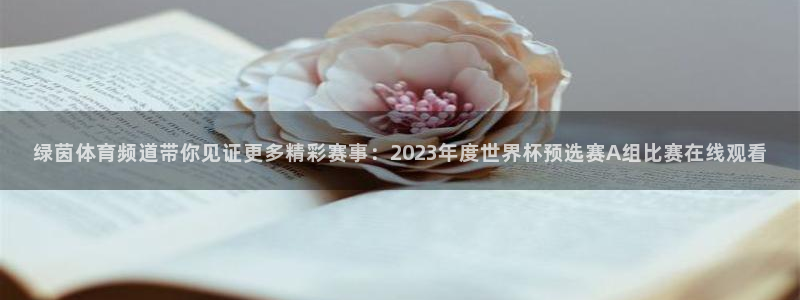 女子足球世界杯冠军：绿茵体育频道带你见证更多精彩赛事：2023年度世界杯预选赛A组比赛在线观看