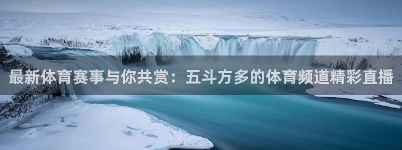 19年男篮世界杯：最新体育赛事与你共赏：五斗方多的体育频道精彩直播