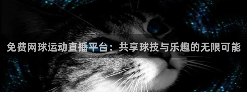 2006世界杯日本队战绩：免费网球运动直播平台：共享球技与乐趣的无限可能