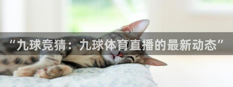 世界杯球赛预测：“九球竞猜：九球体育直播的最新动态”