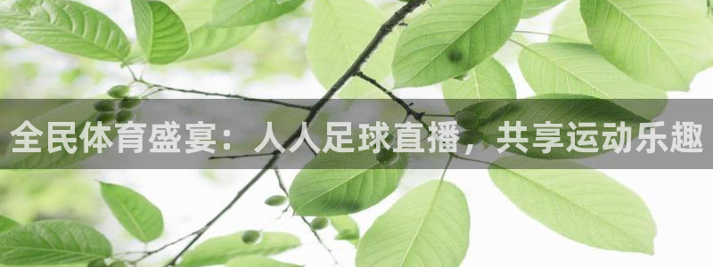 哪个平台有世界杯直播：全民体育盛宴：人人足球直播，共享运动乐趣